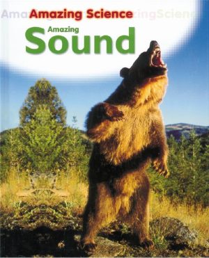 Amazing Sound