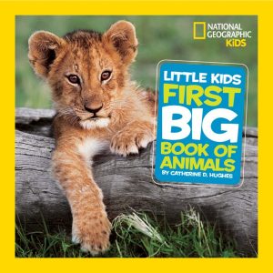 Little Kids First Big Book Animals