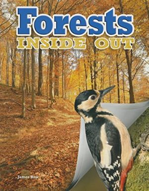 Forests Inside Out