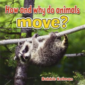 How and why do animals move?