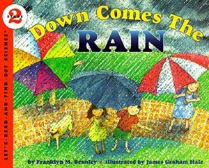 Down Comes The Rain