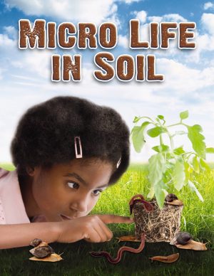 Micro Life in Soil