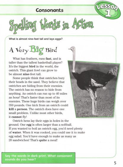 Spelling Workout Student Edition C - Image 2