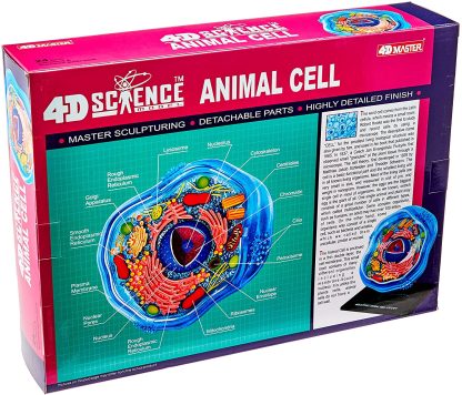 4D Science Animal Cell Kit - Image 2