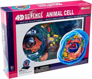 4D Science Animal Cell Kit