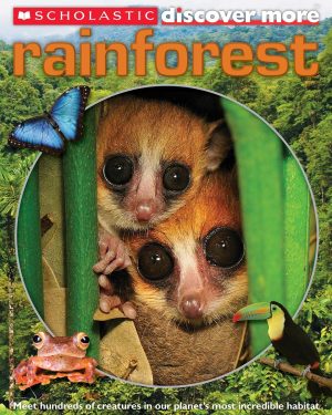Rainforest