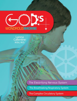 Elementary Anatomy: Nervous, Respiratory, And Circulatory Systems Set