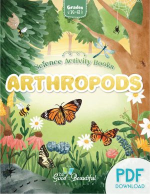 Arthropods Science Activity Book