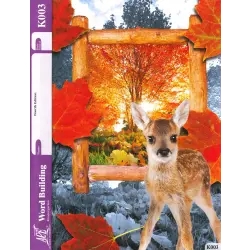 Kindergarten Word Building Pace K003 4th Ed.