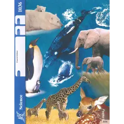 Science Pace 1036 4th Edition